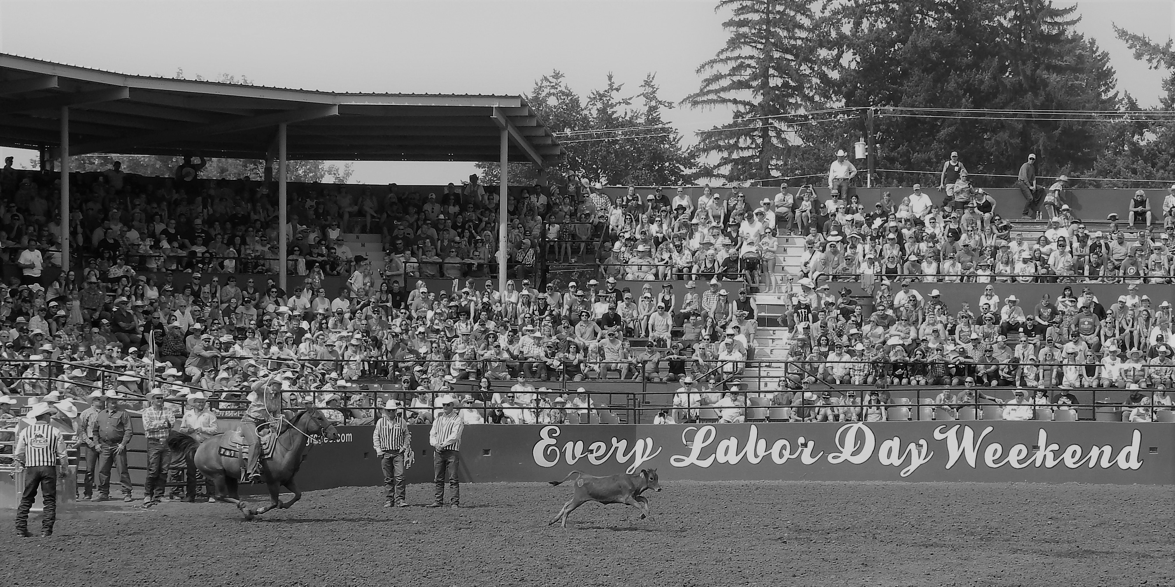 Chace Rodeo Photo Gallery | chasingrodeohistory