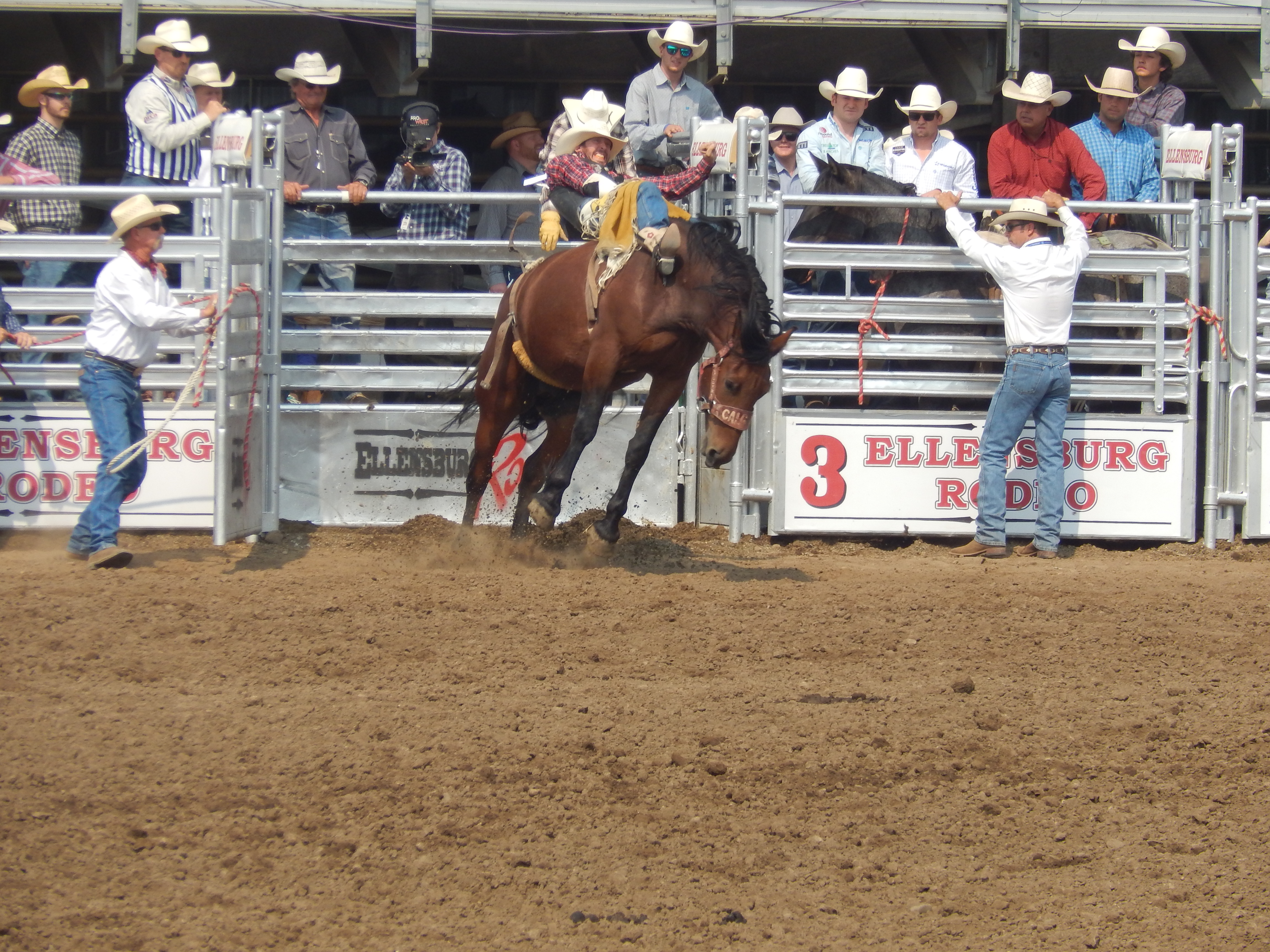 Chace Rodeo Photo Gallery | chasingrodeohistory