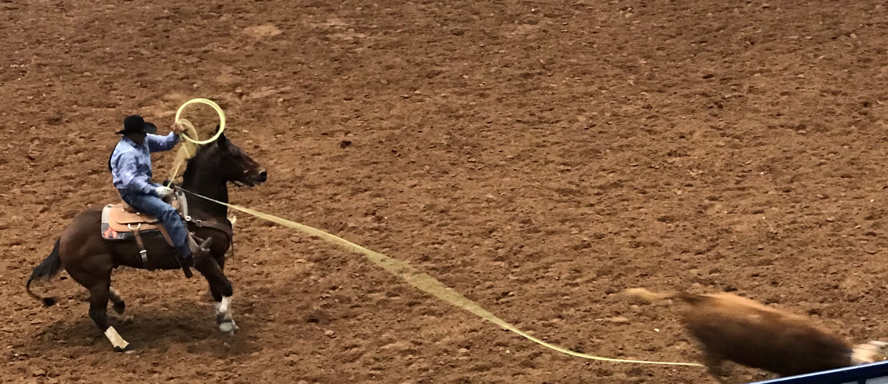 Chace Rodeo Photo Gallery | chasingrodeohistory