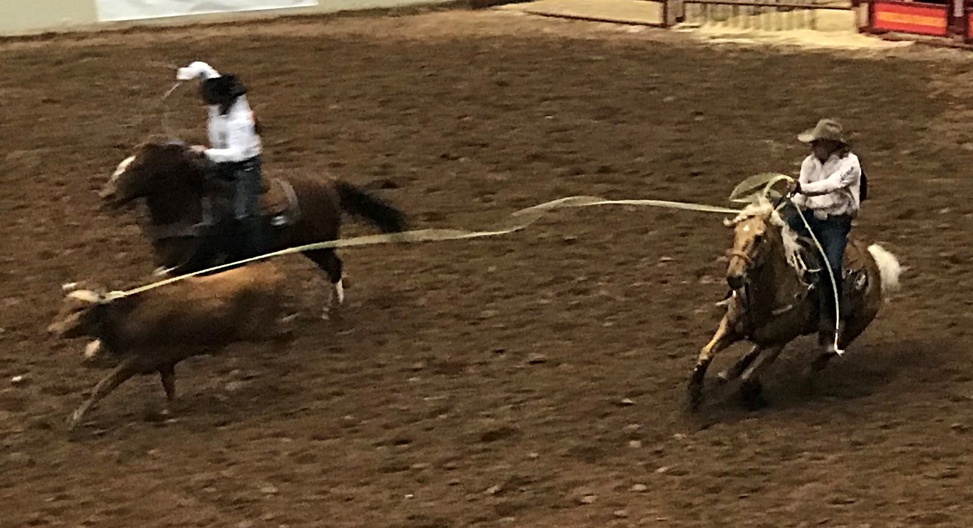 Photo Gallery | chasingrodeohistory