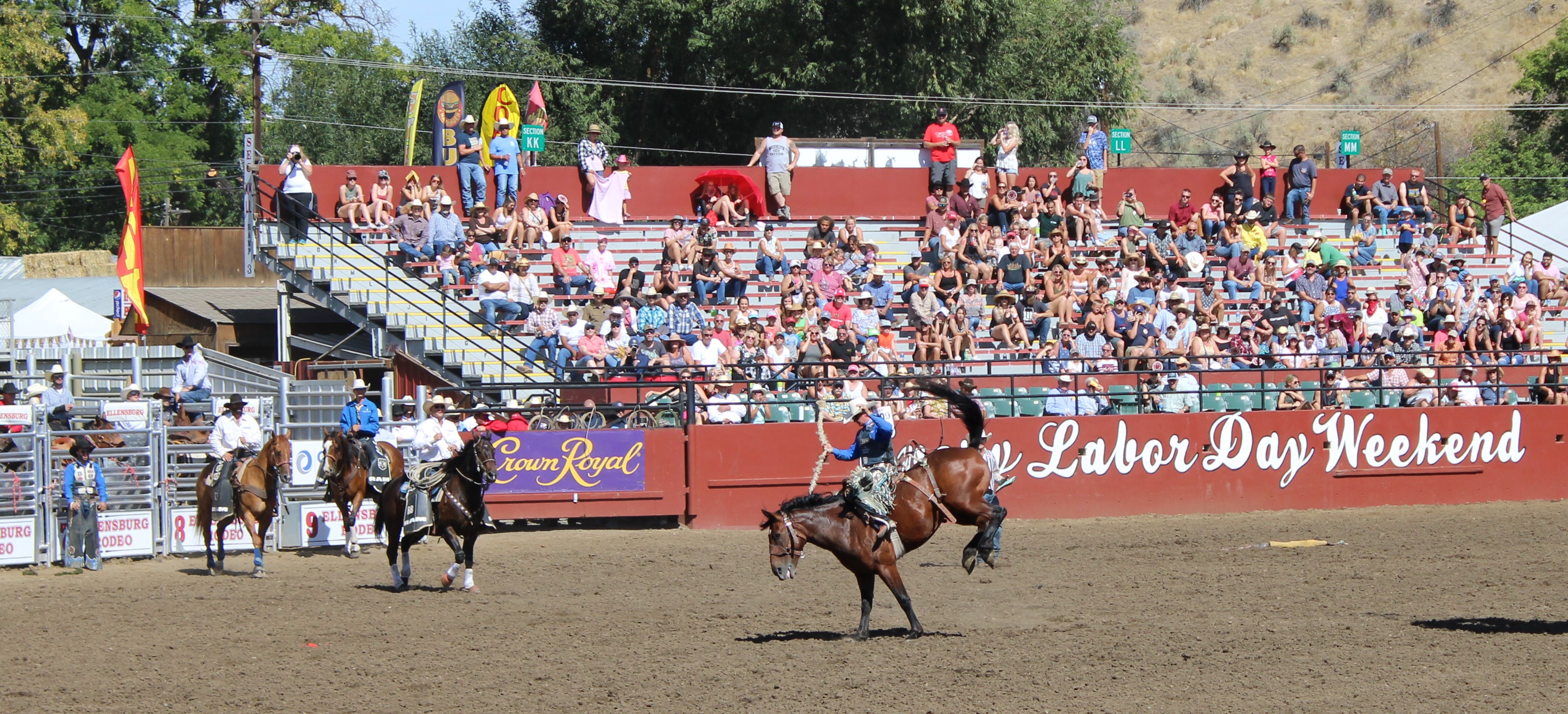 Chace Rodeo Photo Gallery | chasingrodeohistory
