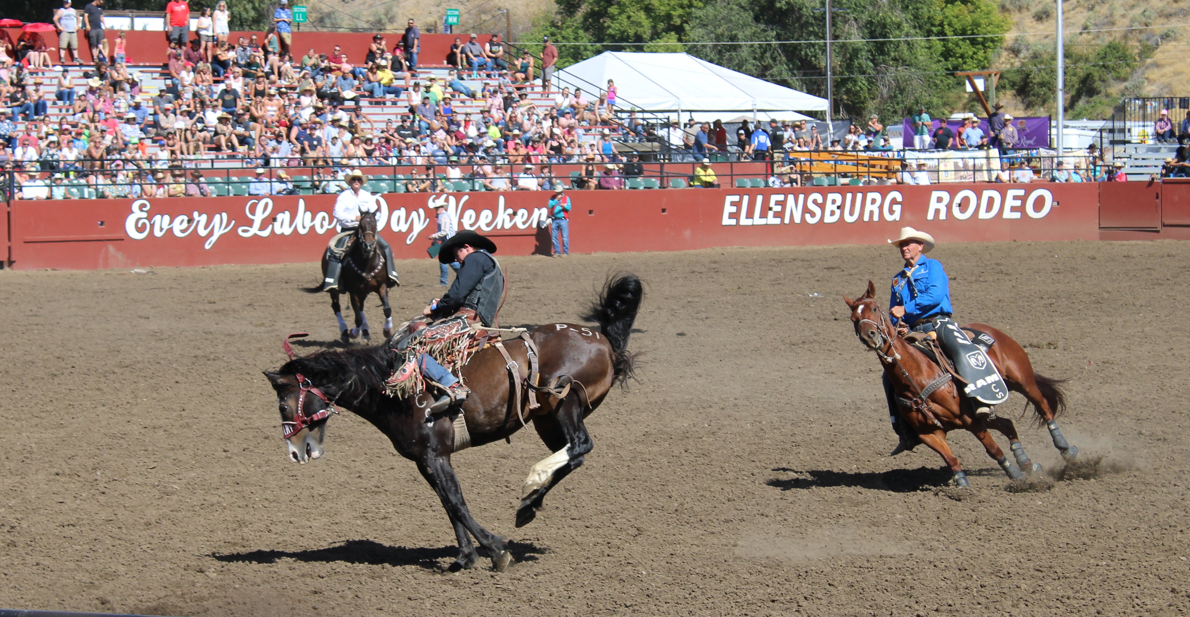 Photo Gallery | chasingrodeohistory